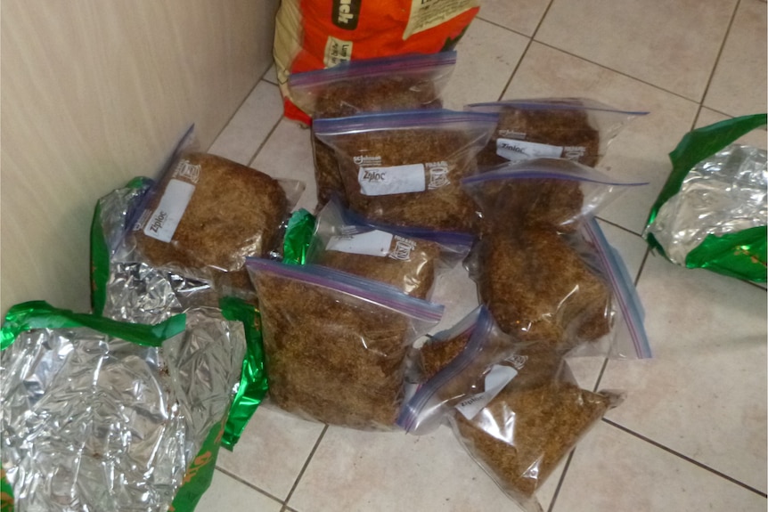 “日蚀行动”警方在南澳州突袭中查获烟草和现金