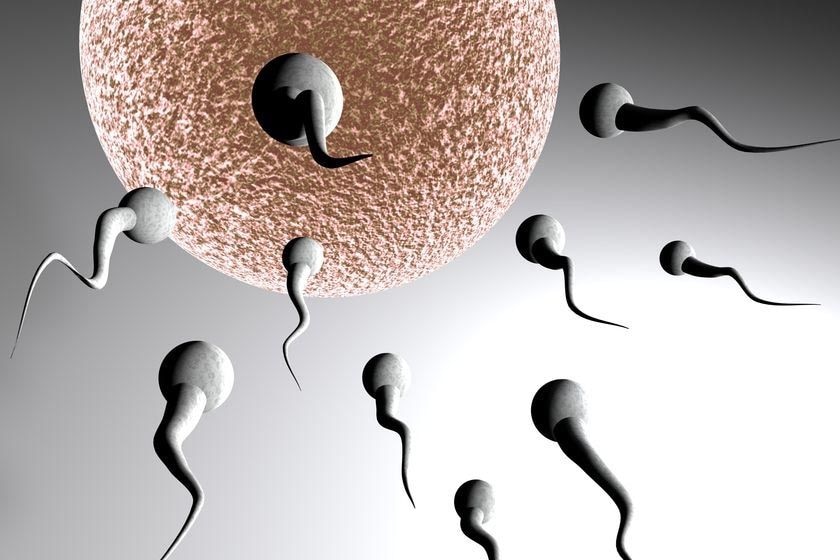 生物父母将在南非新的登记册中向其亲生子女公开身份