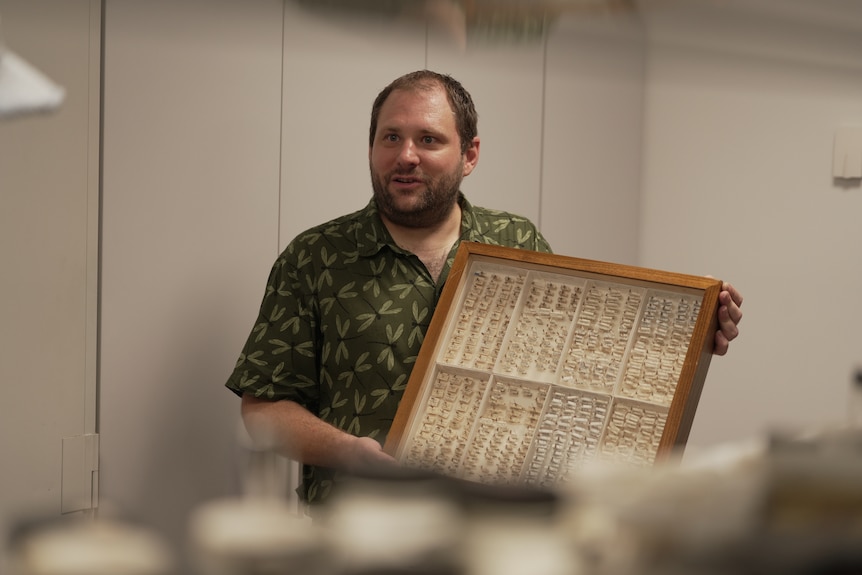 北领地昆虫收藏馆向公民科学家开放,促进知识交流,深化生物安全联系