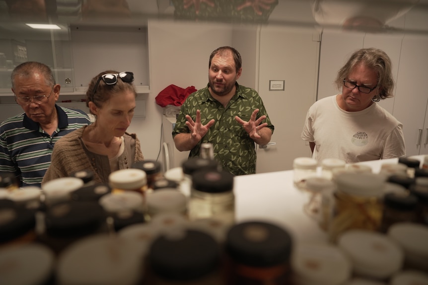 北领地昆虫收藏馆向公民科学家开放,促进知识交流,深化生物安全联系