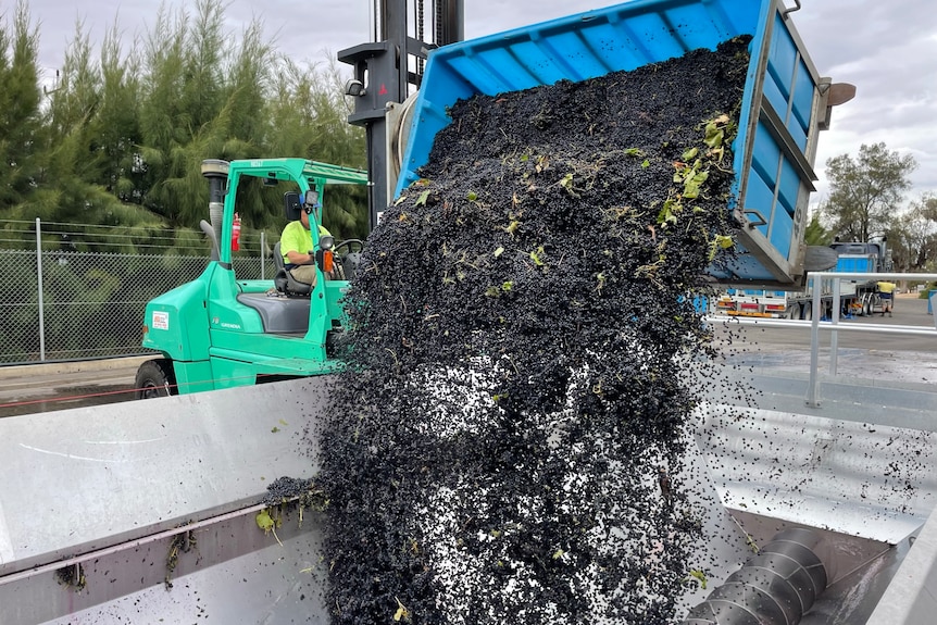 葡萄酒种植者呼吁制定行业强制性规范以应对“危机”