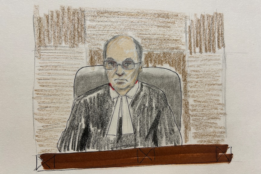 陪审团被要求在托亚·科丁利谋杀案中裁定三个要点