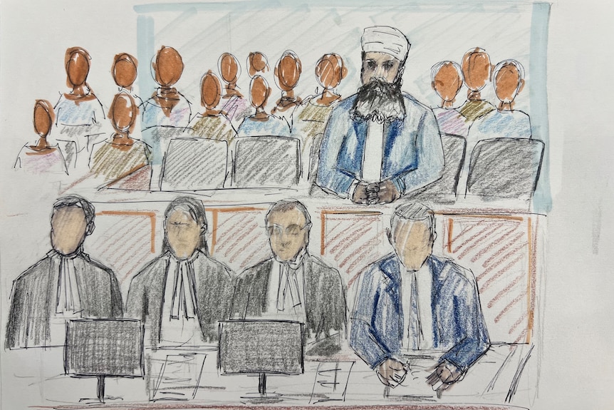陪审团被要求在托亚·科丁利谋杀案中裁定三个要点