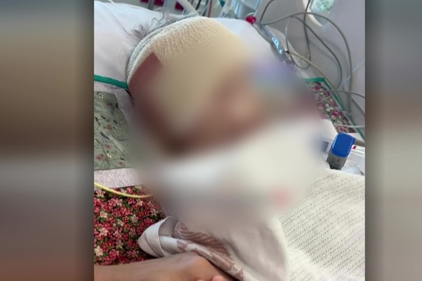昆士兰社交媒体网红被控虐待婴儿案"案情复杂",法庭听证显示