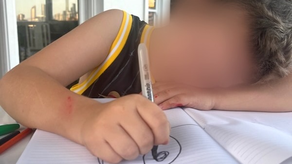 仅任职三周便辞职的寄养看护人控诉"遭遇蓄意设局"