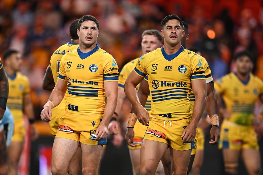 NRL被控"捏造指控" 帕拉马塔鳗鱼队球员Dylan Brown因推搡裁判遭举报