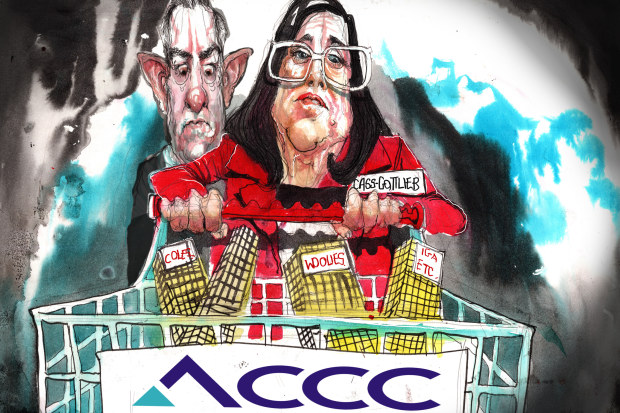 ACCC将审查Coles和Woolies的价格,但不涉及其市场影响力