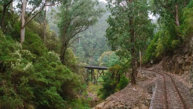 墨爾本週邊旅行 |:開車3小時,到酸奶Gippsland產地一飽眼福和口福