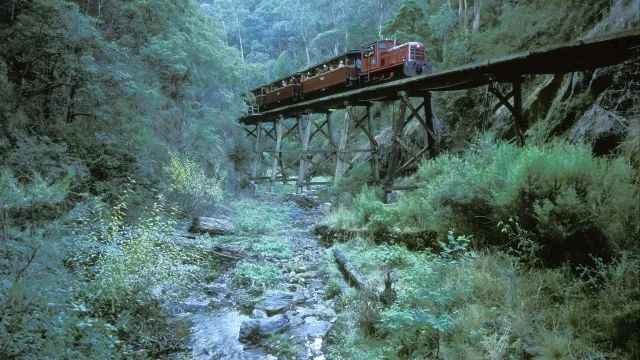 墨爾本週邊旅行 |:開車3小時,到酸奶Gippsland產地一飽眼福和口福