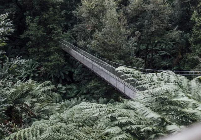 墨爾本週邊旅行 |:開車3小時,到酸奶Gippsland產地一飽眼福和口福