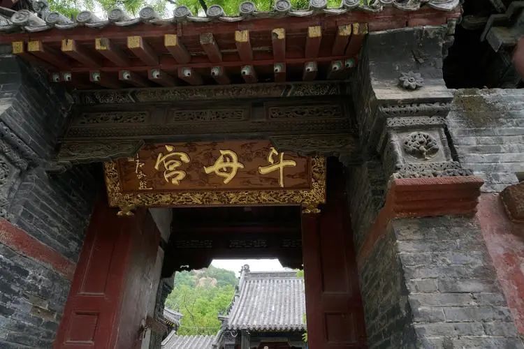 泰山尼姑,被迫卖淫代孕的一生